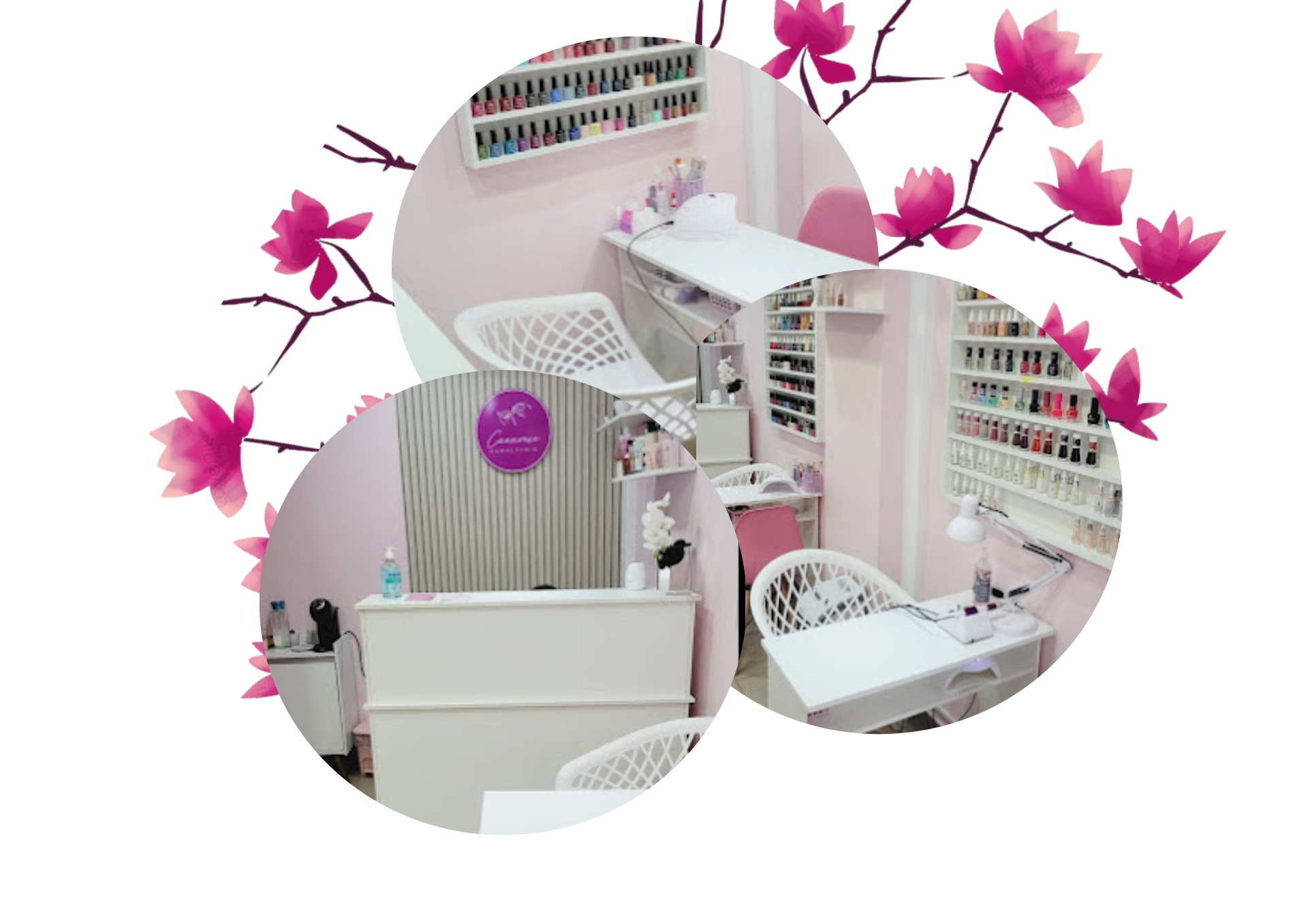 Conheça nossos serviços exclusivos